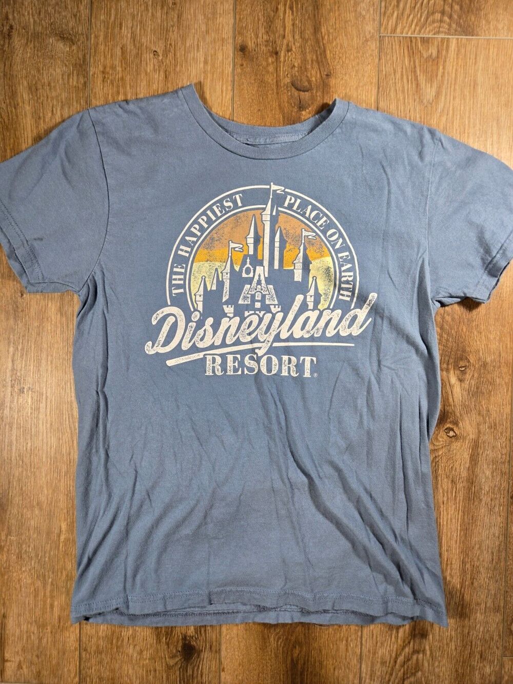 Disneyland Resort T Shirt Mens M Blue Happiest Place Earth Theme Park Retro Tee